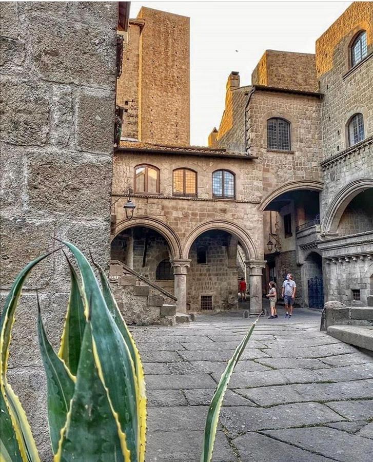 Viterbo Art Apartments Zewnętrze zdjęcie